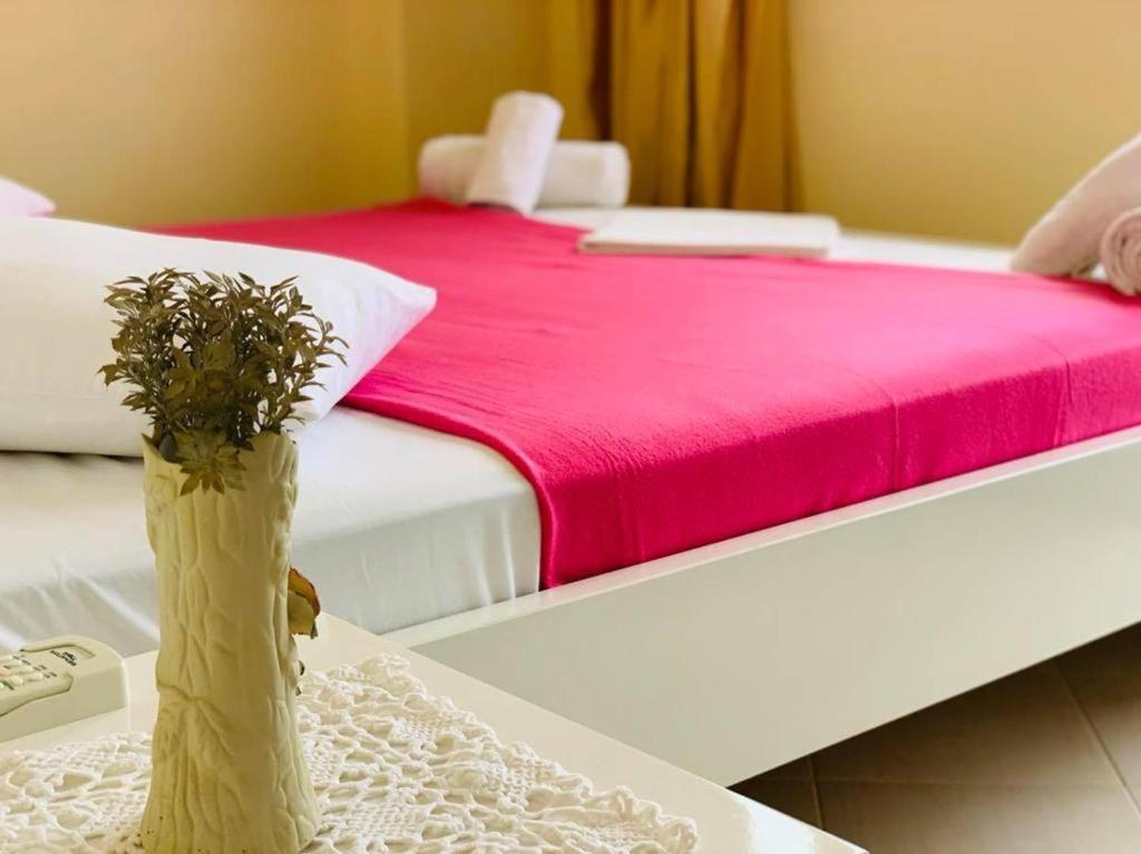 Hotel Mintt 3*